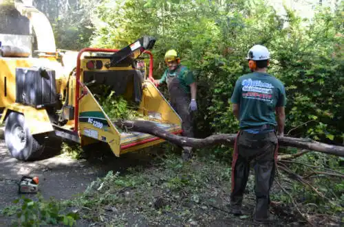 tree services Cartersville